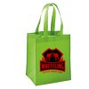 NW8191 - Debco Mid-Size Non-Woven Tote Thumbnail